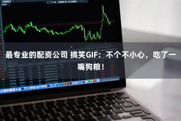 最专业的配资公司 搞笑GIF：不个不小心，吃了一嘴狗粮！
