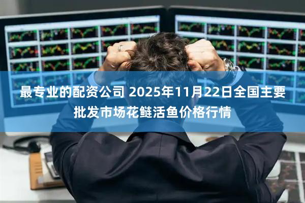 最专业的配资公司 2025年11月22日全国主要批发市场花鲢活鱼价格行情