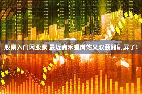 股票入门网股票 最近嘉禾望岗站又双叒叕刷屏了！